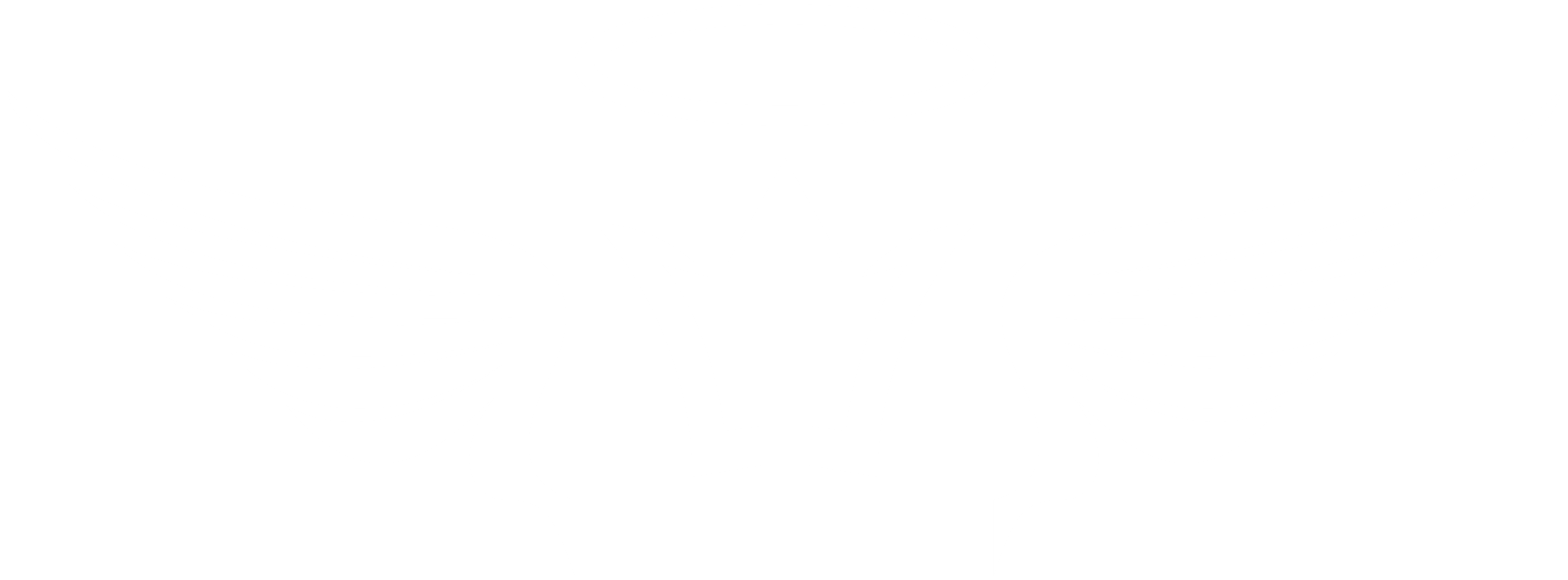 Logo S.I.N.